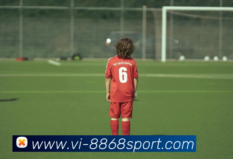 8868体育平台生态图